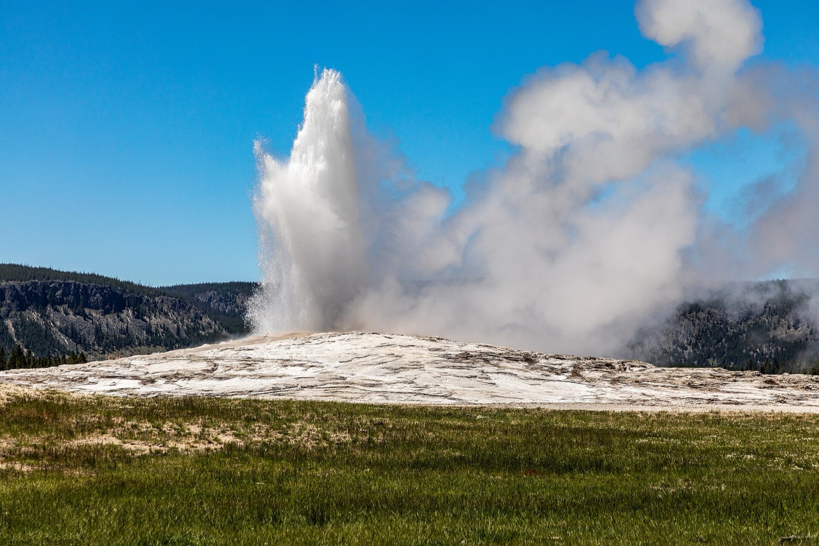 Old Faithful erupting