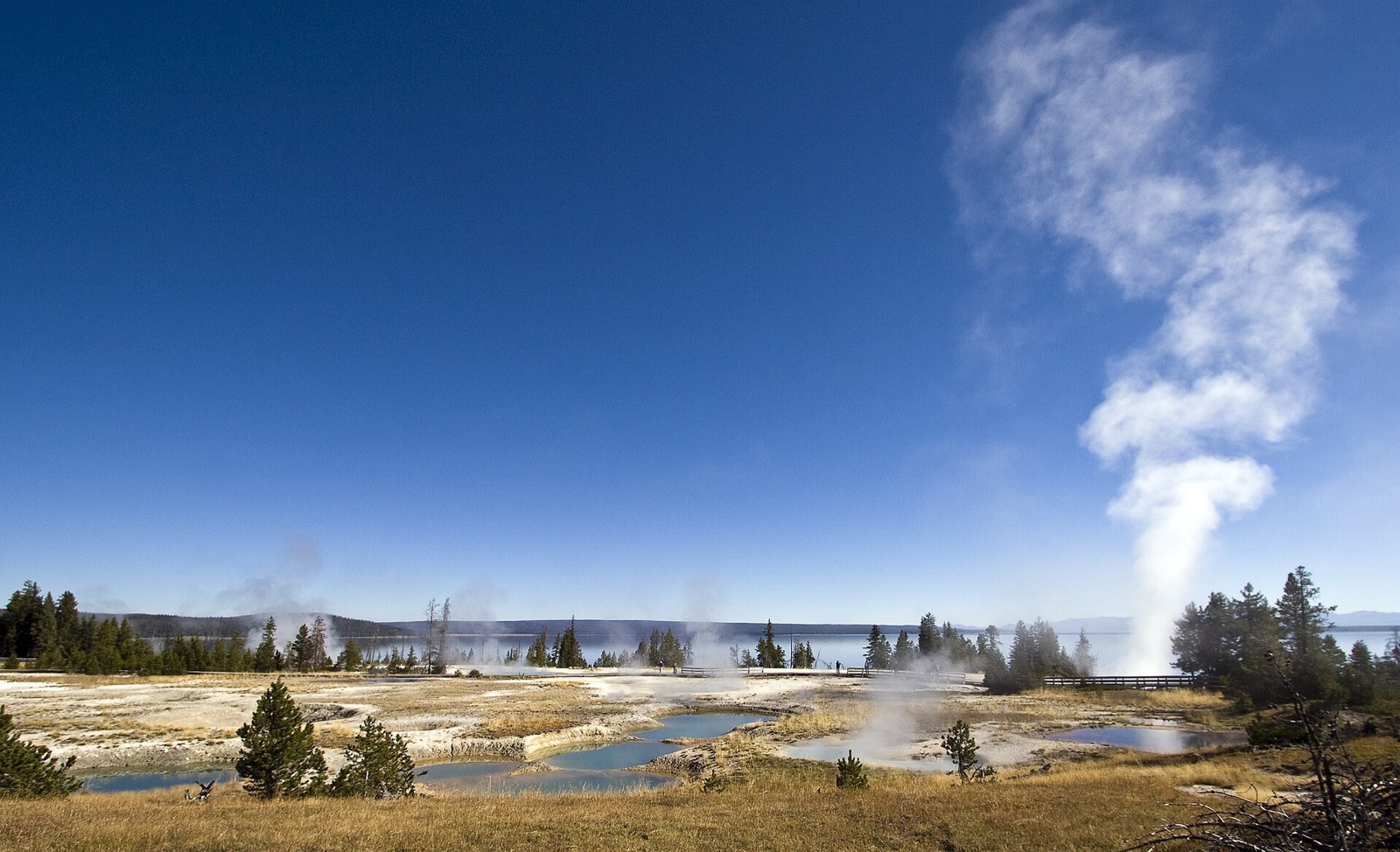 West Thumb Geyser Basin on Yellowstone Lake